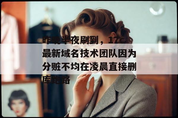 昨晚半夜刷到，17c最新域名技术团队因为分赃不均在凌晨直接删库跑路